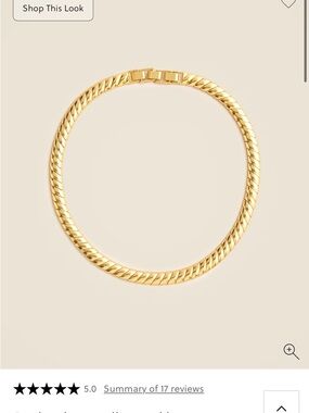 Brand New J. Crew Snake Chain Collar Necklace